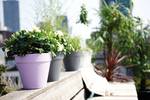 loft urban rund 20cm anthrazit